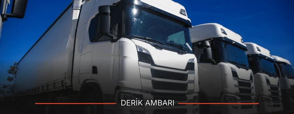 Derik Ambarı